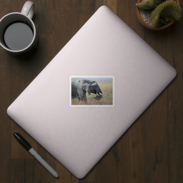 African Elephant Portrait, Serengeti, Tanzania. by Carole-Anne